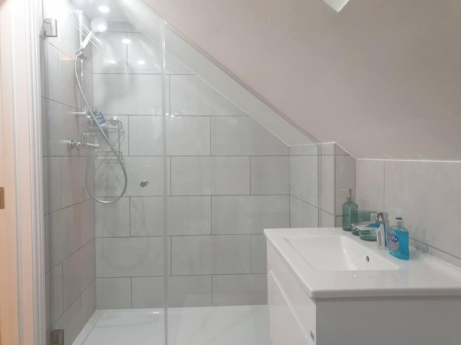 New - Bright Studio Loft King Bed In Quiet Street Near Parks 1074 Lo Appartement *